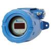 19 A Head with Indicator 07696