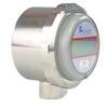 21 S Head with Indicator 07698