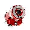 4040 C LB Sharp Eye 07559