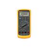 787 Process Meter 01082