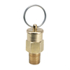 A 321 Pressure Relief Valve 05074