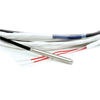 A05 Miniature RTD 01474