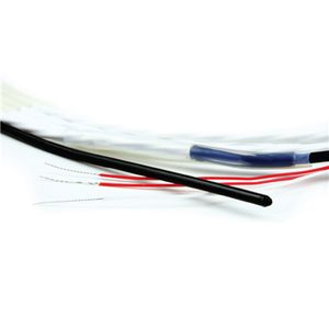 A06 Miniature RTD 01475