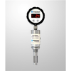 AD LPD Loop Powered Display 06075