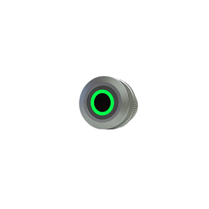 CTL SW LO Panel Pilot 12550