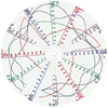 Circular Charts With No Numbers On Divisions 06358