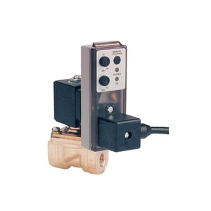 DVT 4 Adjustable timing Electronic Drain Valve 13840