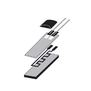 F2222 100 Pack Thin Film Platinum RTD Elements 09265