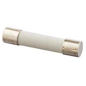 FA 12 5 A500 V Fuse 03933