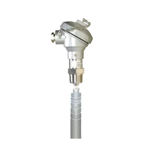 FSW 25 Trim to Size Paddle Type Flow Switch 13746