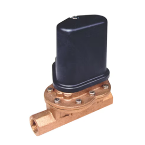 FSW 30 A Non magnetic Industrial Flow Switches 13761