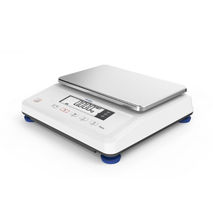 Minebea Intec PURO Large Flat Compact Single Display Scalre 11132