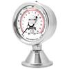 PAG 3 A Pharma Food Beverage Dairy Sanitary Gauge 07769