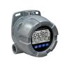PD6928 GP Vantage View NEMA 4 X Loop Powered Flow Rate Totalizers 07953