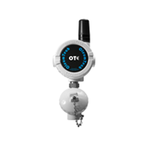 SM RTM Intrinsically Safe Transmitter 07646