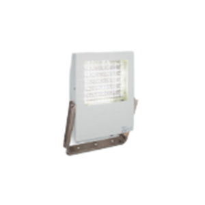 Series 61252 Floodlight LED 14910