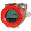 T75 Head with Indicator 07703
